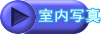 ʐ^